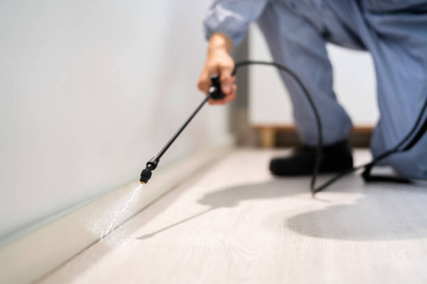 Licensed Pest Control service in Sandusky, OH - Show Me Pest Control